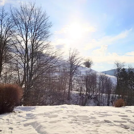 Harzbutze 50 Apartmán